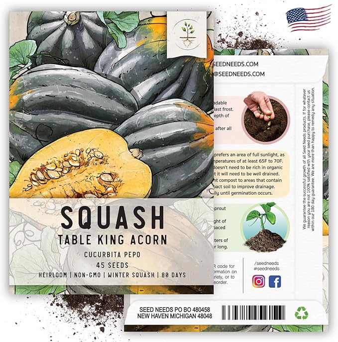 Seed Needs, Table King Acorn Winter Squash Seeds - 45 Heirloom Seeds for Planting Cucurbita Pepo - Non-GMO & Untreated Vegetable for an Outdoor Garden (5 Packs)