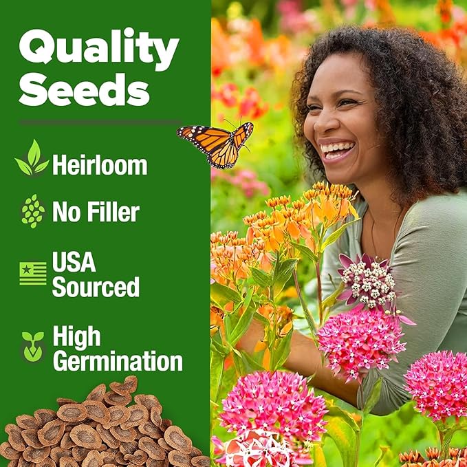 HOME GROWN Milkweed Flower Seeds - 500+ Heirloom Perennial Wildflower Seeds (5 Individual Varieties) Supports Monarch Habitat, Grows in Zones 3-11 (Asclepias syriaca)