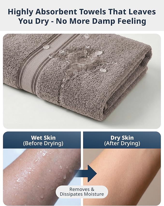 LANE LINEN Luxury Bath Towel Set - 6 Piece Set, 100% Cotton Bathroom Towel, Zero Twist, Shower Towel, Extra Absorbent, Super Soft, 2 Bath, 2 Hand, 2 Wash Cloths - Platinum