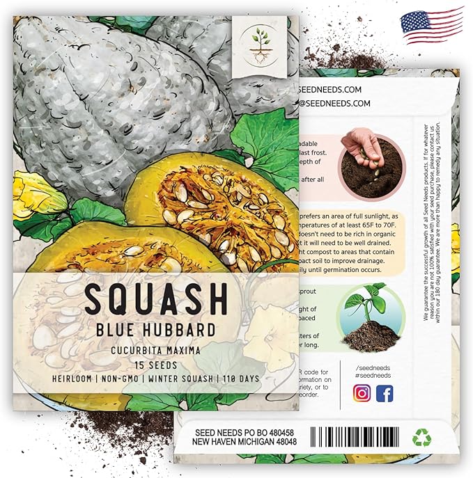 Seed Needs Blue Hubbard Winter Squash Seeds for Planting - Non-GMO, Heirloom & Untreated - Golden Yellow Sweet Flesh Perfect for Baking & Cooking (2 Packs)