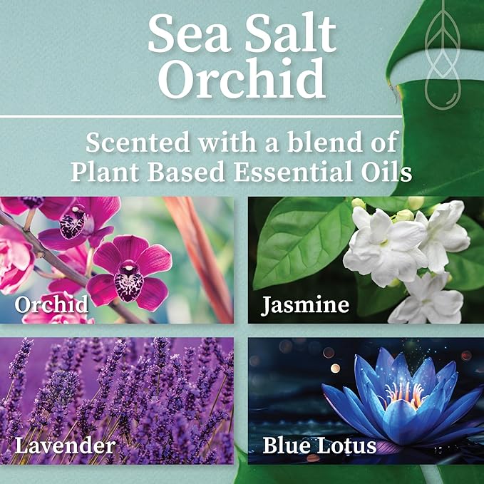 Hemlock Park Sea Salt Orchid Apothecary Hand-Poured Scented Candle | Crackling Wood Wick, Botanical Fragrance & Coconut Wax | Up to 90 Hour Burn Time | 16 oz