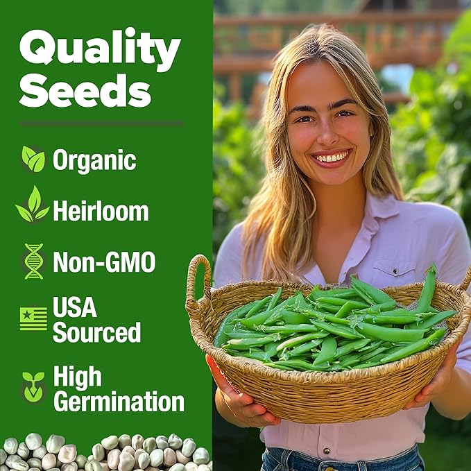 HOME GROWN Organic Cascadia Snap Pea Seeds 100+ Heirloom Non-GMO Seeds for Planting, High Germination, Sweet Edible Pods, Stringless Sugar Snap, Cool Season Garden, Containers (Pisum sativum)