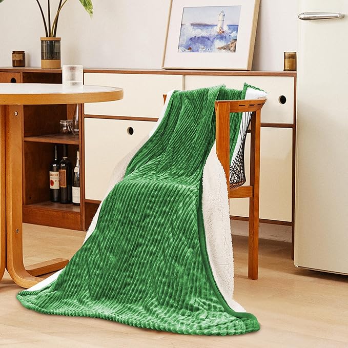 JET'S HOME Heated Blanket 50"x60" - ETL Certified Flannel Electric Blanket Throw Machine Washable Heating Throw with 9 Heating Levels 10 Hours Adjustable Auto-Off (Grove Green)