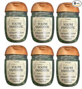 Bath and Body Works Classic and Seasonal Scents Pocketbac Gel Sanitizers - Pack of 6-1 oz each (Eucalyptus Rain)