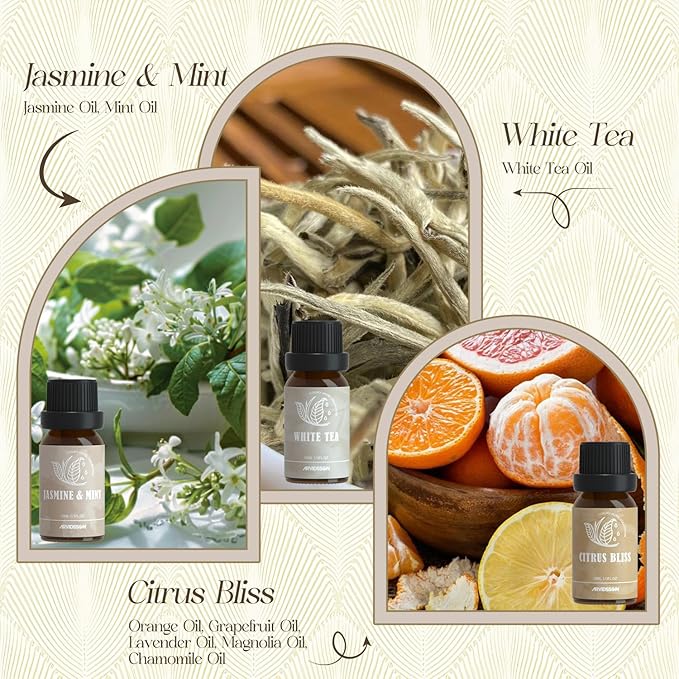 ARVIDSSON Hotel Diffuser Oils Gift Set, Hotel Essential Oils for Diffuser, Luxury Hotel Fragrance Oil Blend - Jasmine & Mint, White Tea, Citrus Bliss, M-Way, Fancy Lobby, Gift for Women and Men