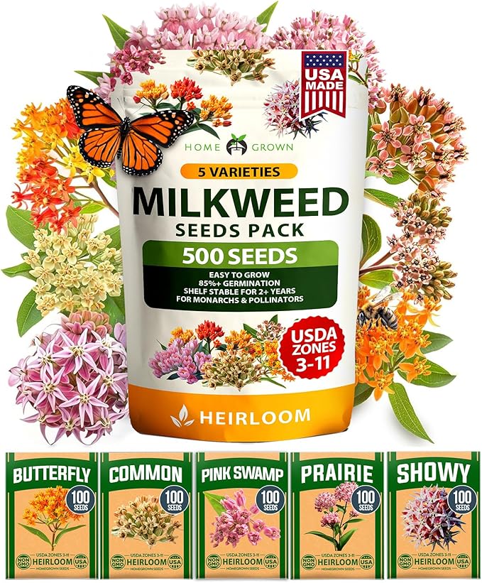 HOME GROWN Milkweed Flower Seeds - 500+ Heirloom Perennial Wildflower Seeds (5 Individual Varieties) Supports Monarch Habitat, Grows in Zones 3-11 (Asclepias syriaca)