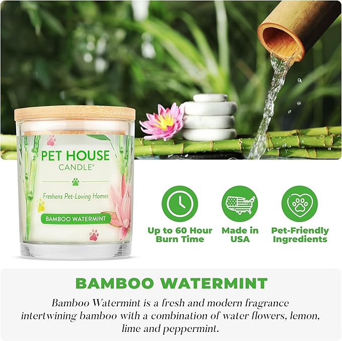 Pet House Candles, Plant-Based, Clean Burning, Long Lasting Scented Candles for Pet Odor - Bamboo Watermint, 2 Pack