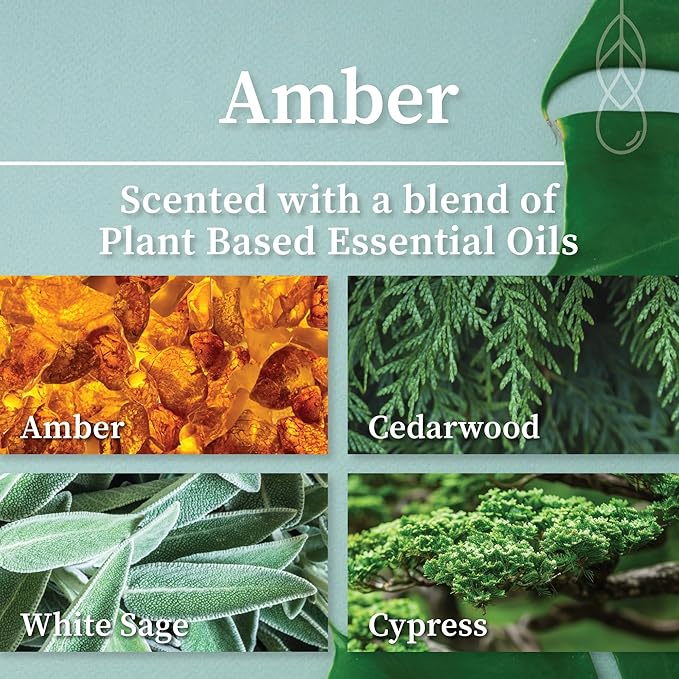Hemlock Park Amber Apothecary Hand-Poured Scented Candle | Crackling Wood Wick, Botanical Fragrance & Coconut Wax | Up to 60 Hour Burn Time | 8 oz