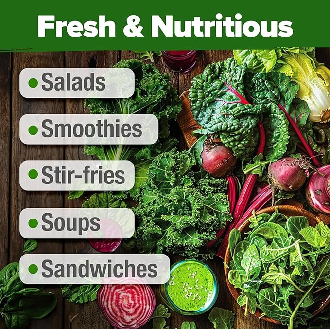 HOME GROWN 20 Variety Lettuce Seeds 21,700+ Bulk Pack Heirloom Non-GMO, High Germination, Romaine,Butterhead, Spinach, Kale, Iceberg, Continuous Harvest,Indoor Outdoor Hydroponic Garden (20 Varieties)