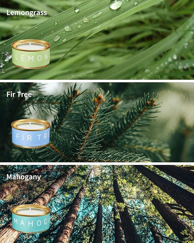 Scented Candles Gift Set, Natural Beeswax Aromatherapy Candles for Mother's Day, Birthday, Christmas, Holiday Gift Ideas for Women, Small Portable Tin Travel, 6-Pack Variety Luxury Home Scents