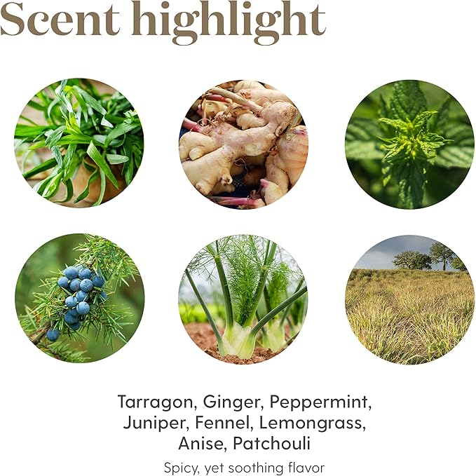 Young Living DiGize Essential Oil Blend | 5 ml | Soothing Aromatherapy Experience | Ideal for Diffusion & Massage | Premium Quality | Complex, Calming Aroma for Relaxation