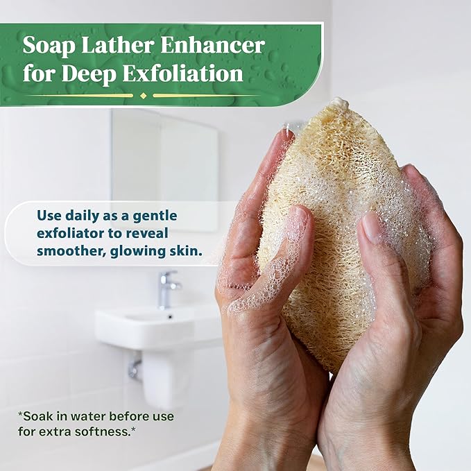 Natural Loofah Exfoliating Sponge (4 Pack) - Organic Loofah for Body - Biodegradable Shower Luffa - Natural Bath Sponges Loufa - Estropajos para el Cuerpo