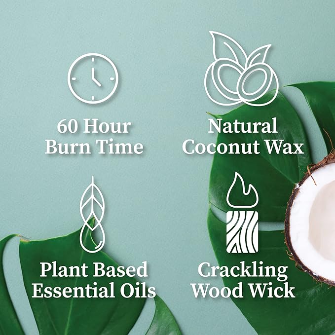 Hemlock Park Crackling Wood Wick Candle Handcrafted with Natural Coconut Wax (Standard 8 oz, Pumpkin Crème)