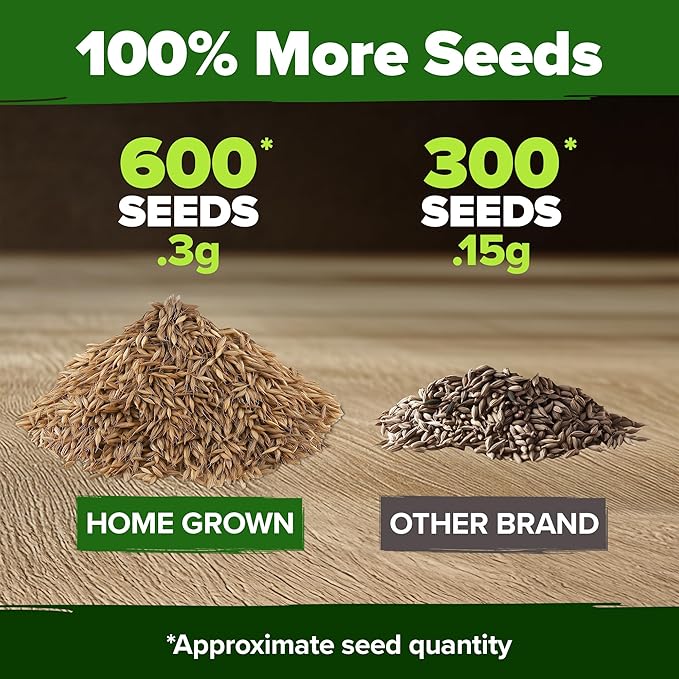 HOME GROWN Dandelion Seeds for Planting 600 Heirloom Medicinal Herb Seeds (~0.3g) Non GMO Grow Edible Leaves and Flowers for Remedies or Wildlife (Taraxacum officinale)