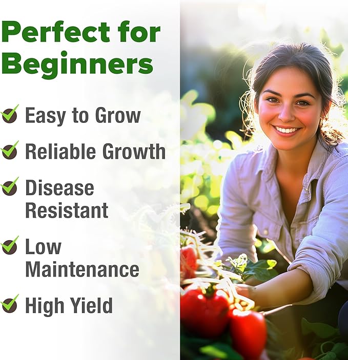 HOME GROWN San Marzano Tomato Seeds 66+ Heirloom Non-GMO Seeds for Planting, High Germination, Indeterminate, Classic Meaty Italian Paste Tomato, Best for Sauce & Canning (Solanum lycopersicum)