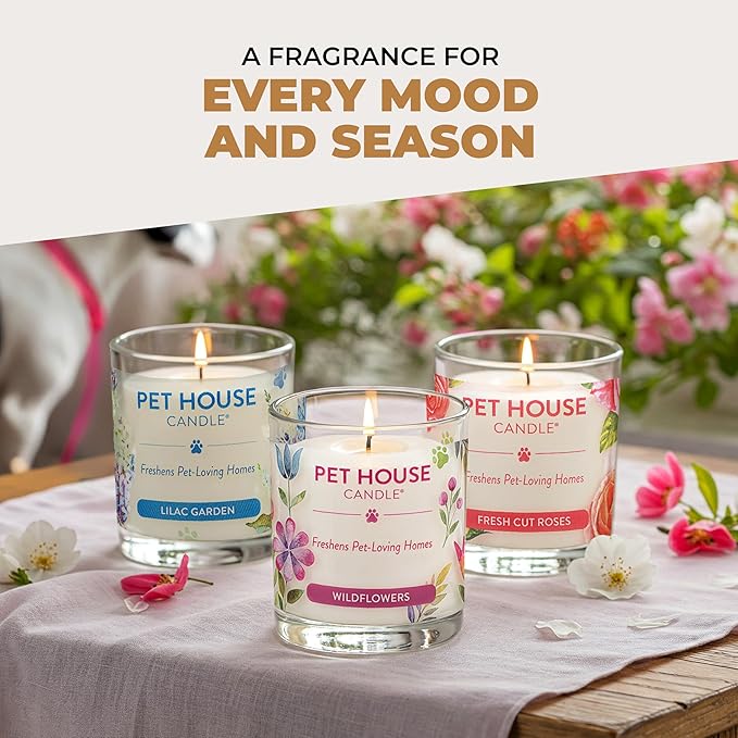 Pet House Candles, Clean Long-Burning, Scented Pet Friendly Candles, Plant-Based, 60 Hour Burn Time - Ocean Driftwood, 9 oz