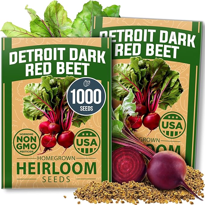 HOME GROWN Detroit Dark Red Beet Seeds 1000+ Heirloom Non-GMO Seeds for Planting, High Germination, Sweet Root Vegetable, Edible Greens, Canning, Pickling, Winter Storage (Beta vulgaris)