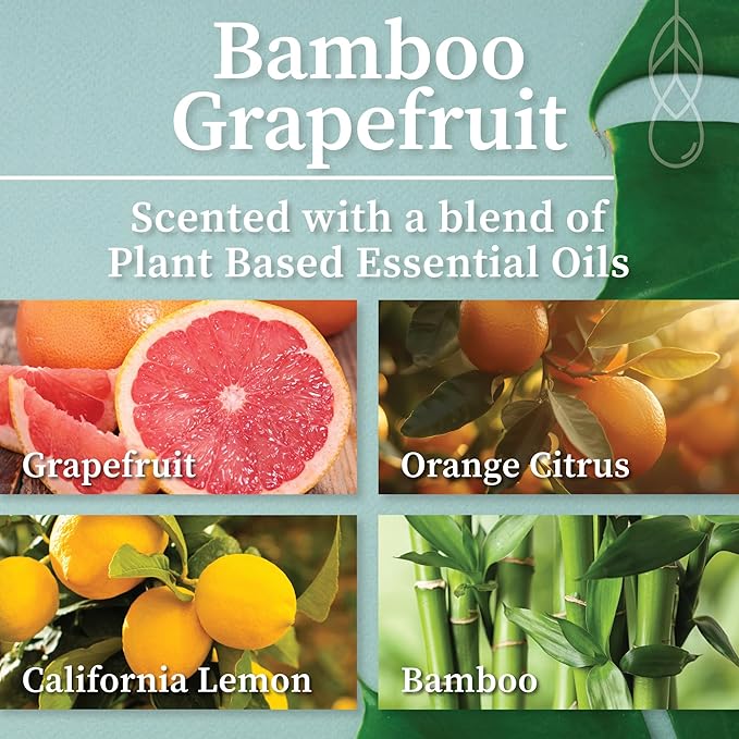 Hemlock Park Bamboo Grapefruit Apothecary Hand-Poured Scented Candle | Crackling Wood Wick, Botanical Fragrance & Coconut Wax | Up to 90 Hour Burn Time | 16 oz