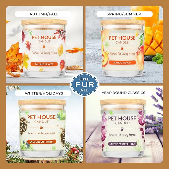 Pet House Candles, Clean Long-Burning, Scented Pet Friendly Candles, Plant-Based, 60 Hour Burn Time - Ocean Driftwood, 9 oz