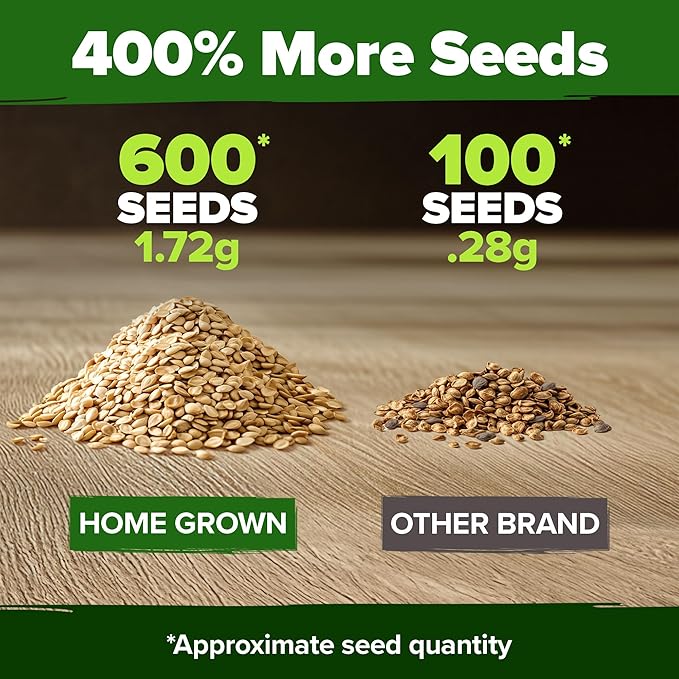 HOME GROWN Beefsteak Tomato Seeds 600+ Heirloom Non-GMO Seeds for Planting, High Germination, Indeterminate Extra Large Meaty Slicing Tomato,Prolific Garden Crop, Sandwich Ready (Solanum lycopersicum)