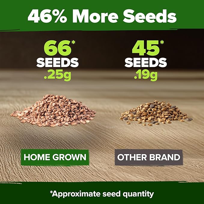 HOME GROWN San Marzano Tomato Seeds 66+ Heirloom Non-GMO Seeds for Planting, High Germination, Indeterminate, Classic Meaty Italian Paste Tomato, Best for Sauce & Canning (Solanum lycopersicum)