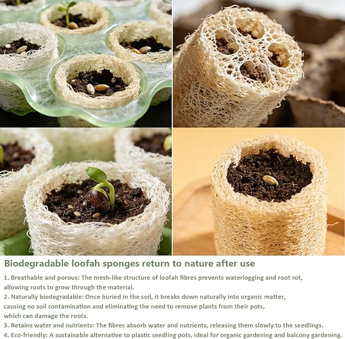 Natural Loofah Sponges Organic Luffa Bath Shower Sponge Exfoliating Body Back Scrubber for Men Women Adults SPA Beauty Bathing Daily Care - 4 PCS