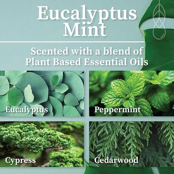 Hemlock Park Eucalyptus Mint Apothecary Hand-Poured Scented Candle | Crackling Wood Wick, Botanical Fragrance & Coconut Wax | Up to 60 Hour Burn Time | 8 oz