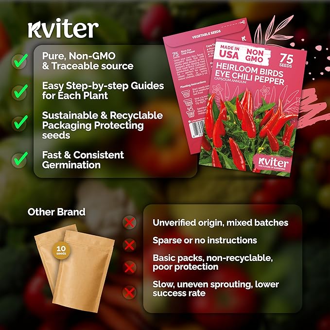 KVITER 75 Birds Eye Chili Pepper Seeds for Planting (Capsicum Annuum) — Thai Chili Red Pepper, Extra‑Hot 50K-100K SHU, High‑Yield Bush — Heirloom & Organic Vegetable Seeds for Outdoor & Indoor Garden