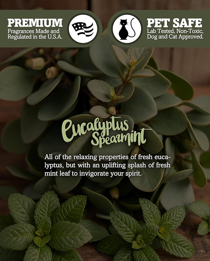 Eucalyptus Spearmint Premium Tealight Candles - Highly Scented with Essential & Natural Oils - 6 White Tea Lights - Beautiful Candlelight - Made in the USA - Fresh & Clean Collection