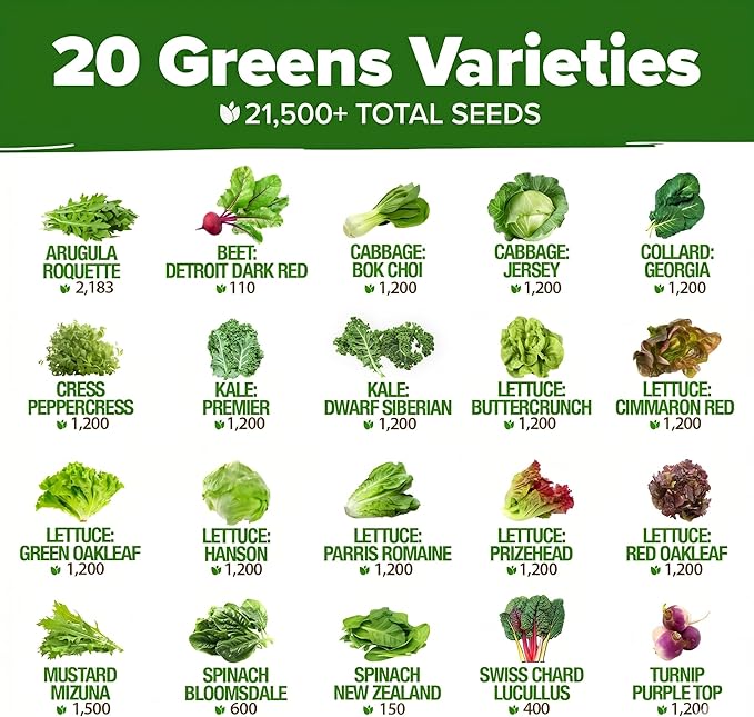 HOME GROWN 20 Variety Lettuce Seeds 21,700+ Bulk Pack Heirloom Non-GMO, High Germination, Romaine,Butterhead, Spinach, Kale, Iceberg, Continuous Harvest,Indoor Outdoor Hydroponic Garden (20 Varieties)