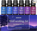 ASAKUKI Essential Oils for Diffuser –6 Mood Essential Oil Blends (Breathe, Uplift, Sensual, Balance, Unwind, Rest) for Morning to Night Rituals, Home & Daily Use- Gifts for Mom