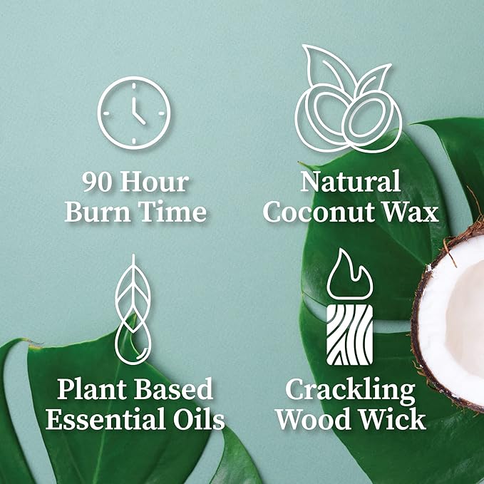 Hemlock Park Yuzu Citrus Apothecary Hand-Poured Scented Candle | Crackling Wood Wick, Botanical Fragrance & Coconut Wax | Up to 90 Hour Burn Time | 16 oz