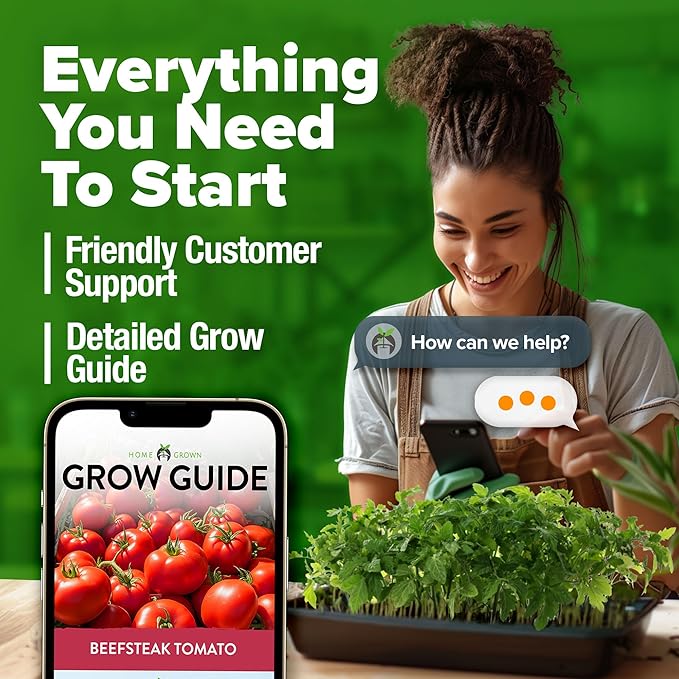 HOME GROWN Beefsteak Tomato Seeds 600+ Heirloom Non-GMO Seeds for Planting, High Germination, Indeterminate Extra Large Meaty Slicing Tomato,Prolific Garden Crop, Sandwich Ready (Solanum lycopersicum)