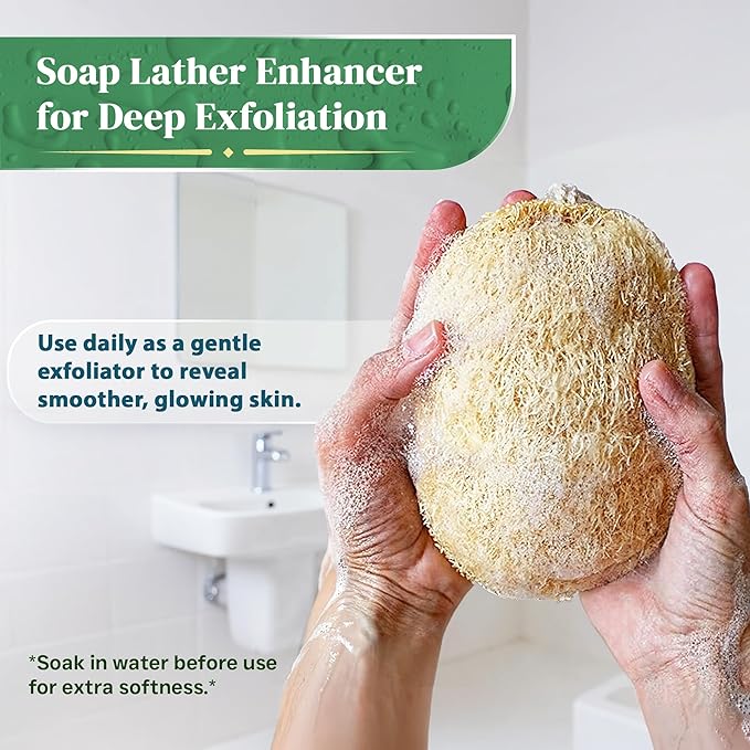 Natural Loofah Exfoliating Sponge (3 Pack) - Organic Loofah for Body - Biodegradable Shower Luffa - Natural Bath Sponges Loufa - Estropajos para el Cuerpo
