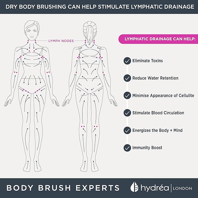 Hydrea London Body Brush Long Handled Exfoliating Back Scrubber, Natural Bristle, Dry Brush Cellulite Remover, Exfoliating Body Scrubber, Helps Improve Lymphatic Drainage - FSC® Certified Beechwood.