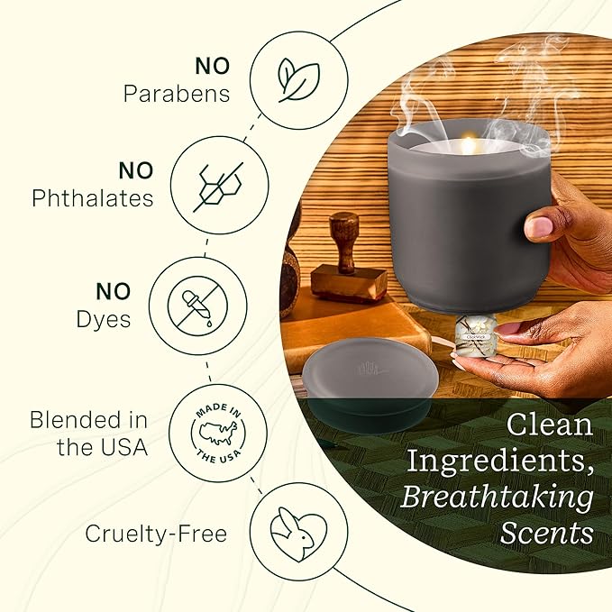 Lifelines ClickWick Essential Oil Blends for Lifelines Diffusers, 3-Pack Vanilla Cashmere Set – Essential Oil Blend Refill for Candle, Plant & Shower Aromatherapy Diffuser – Fragrance for Diffusers