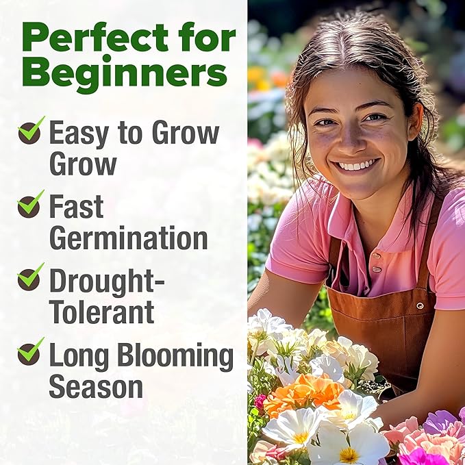 HOME GROWN 23,500+ Moss Rose Seeds (Bulk Pack) Annual Flower for Ground Cover - Heirloom Portulaca Seeds for Planting Outdoors - Great for Low-Maintenance Gardens (Portulaca grandiflora)
