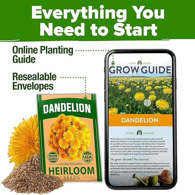 HOME GROWN Dandelion Seeds for Planting 600 Heirloom Medicinal Herb Seeds (~0.3g) Non GMO Grow Edible Leaves and Flowers for Remedies or Wildlife (Taraxacum officinale)