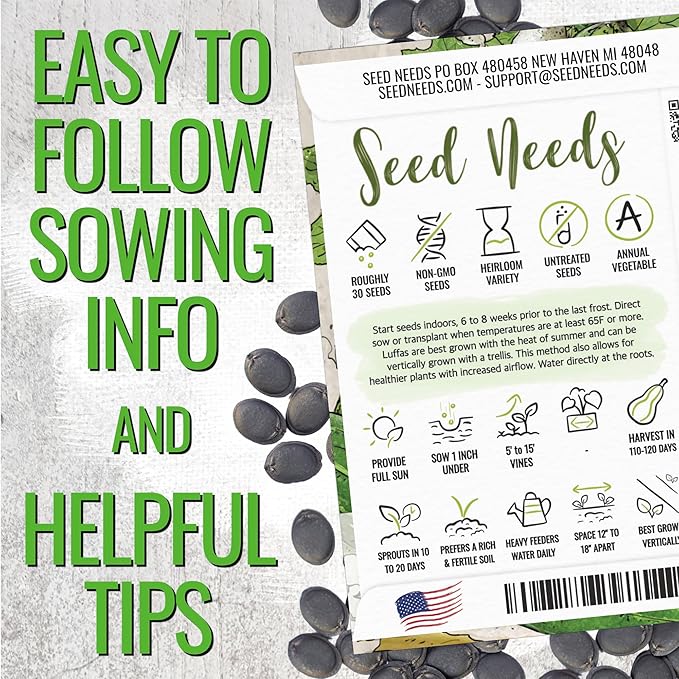Seed Needs Luffa Seeds for Planting Loofah Sponge Gourds - Non-GMO Heirloom & Untreated Veggie Seed to Plant a Home Grown Outdoor Vegetable Garden (10 Packs)