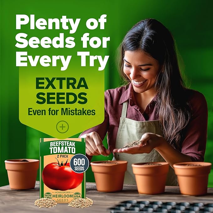 HOME GROWN Beefsteak Tomato Seeds 600+ Heirloom Non-GMO Seeds for Planting, High Germination, Indeterminate Extra Large Meaty Slicing Tomato,Prolific Garden Crop, Sandwich Ready (Solanum lycopersicum)
