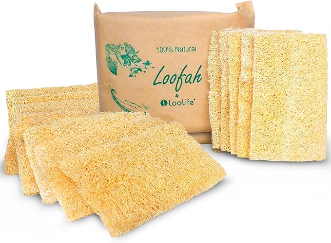 Natural Loofah Kitchen Sponge (XL - 10 Pack) - Natural Sponges for Dishes - Eco Friendly and Compostable Sponges - Biodegradable Plant Based Kitchen Dish Sponge - Plastic Free Dish Scrubber