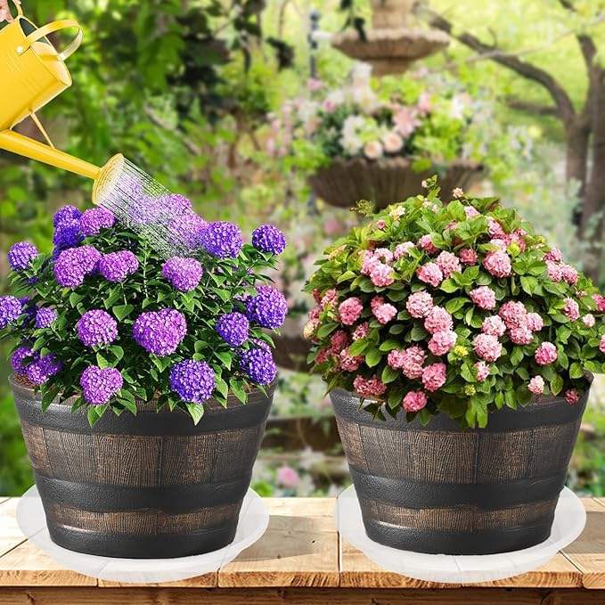 6 Pack of 12 inch Clear Plant Saucer Plant Tray, Plastic Plant Saucer 12 inch, Heavy Duty Clear Plant Tray for Pots, Plant Saucers for Indoors Planter, Garden Water Plate Bowls 10"/11"/12"