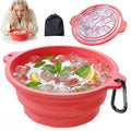 Face Ice Bath Bowl with Built-in Ice Tray, Collapsible Silicone Face Bowl for Ice, Reusable Small Ice Facial Bowl for Puffiness Reduction, Skin Tightening, Acne Relief, Spa Tool for Home, Travel