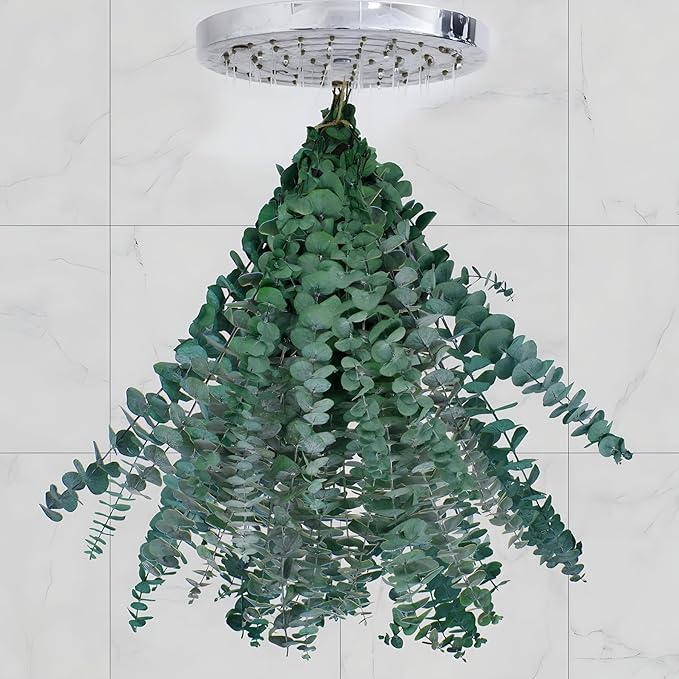 20 Pcs Dried Eucalyptus for Shower - Real Eucalyptus Stems,17'' Fresh 100% Natural Leaves & Aromatic for Shower Spray, Home Decor, Party Present, Wedding Gift