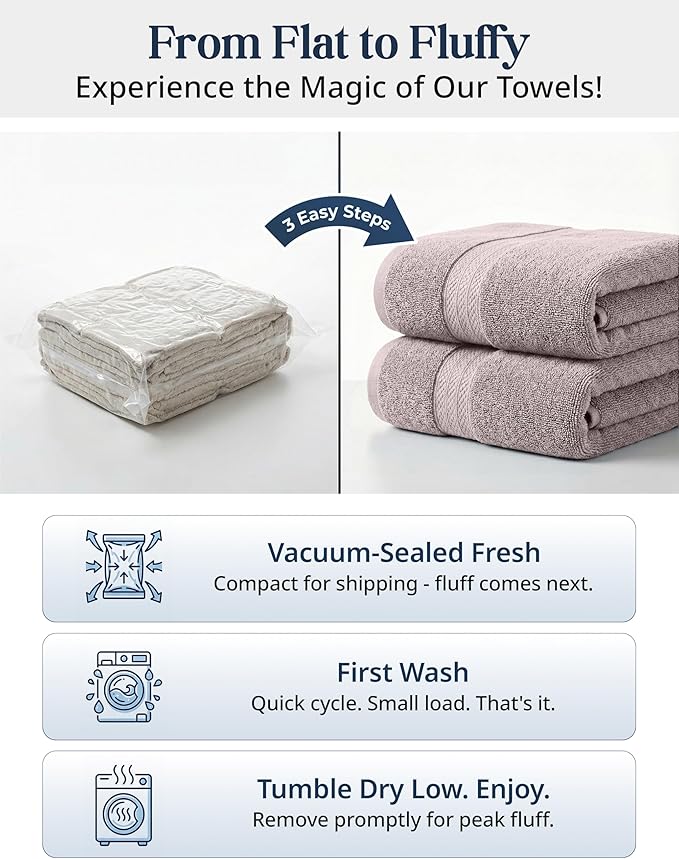 LANE LINEN 100% Ring Spun Cotton Bathroom Towel Set - 6 Piece - Soft, Quick Dry & Highly Absorbent - 2 Bath, 2 Wash cloths, 2 Hand Towels - Ideal for Guests & Perfect for Bathroom decor - Platinum
