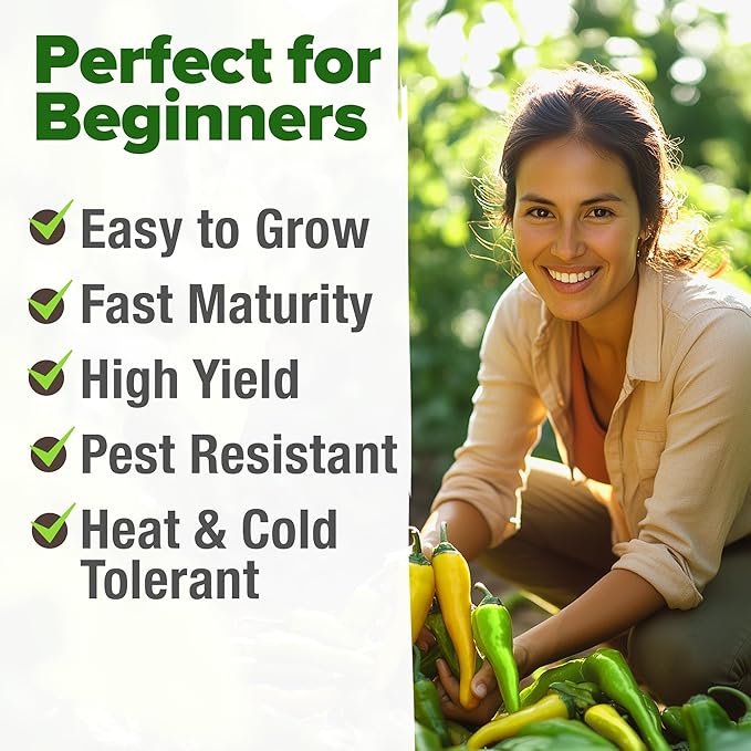 HOME GROWN Banana Pepper Seeds 94+ Heirloom Non GMO Seeds for Planting, High Germination, Sweet & Mild Peppers, Indoor Outdoor Garden, Perfect for Slicing & Pickling, High Yield (Capsicum annuum)