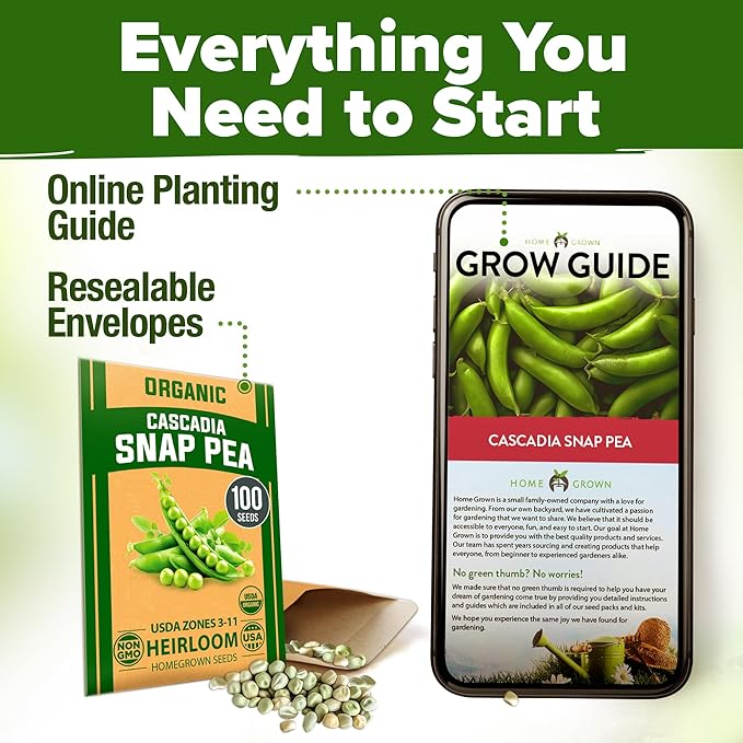 HOME GROWN Organic Cascadia Snap Pea Seeds 100+ Heirloom Non-GMO Seeds for Planting, High Germination, Sweet Edible Pods, Stringless Sugar Snap, Cool Season Garden, Containers (Pisum sativum)