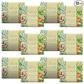 Greenwich Bay Mini Botanical Soap Bars – 12 Pack 1.9 oz Each – Individually Wrapped Guest Soaps for Airbnb, Spa, Travel, Bath – Travel Size Bar Soap Set, Aloe and Oat