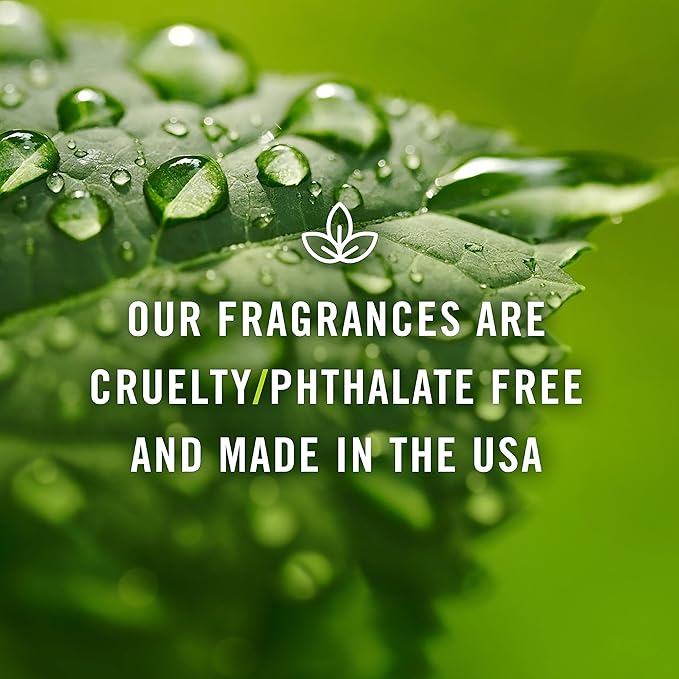 P&J Trading Fragrance Oil | Frankincense & Myrrh Oil 30ml - Candle Scents for Candle Making, Freshie Scents, Soap Making Supplies, Diffuser Oil Scents
