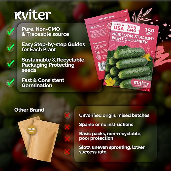 KVITER 150 Straight Eight Cucumber Seeds (Cucumis sativus) - Straight 8 Cucumber Organic, Perfect Cucumbers for Pickling and Slicing - Vegetable Seeds for Planting Outdoors in Home Garden & Containers